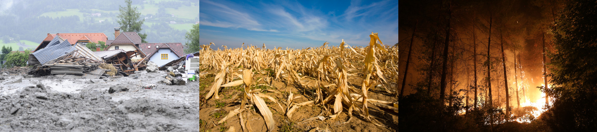 Flooding, drought, and forest fire